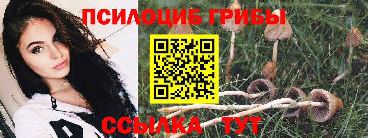 Галлюциногенные грибы GOLDEN TEACHER  Галлюциногенные грибы GOLDEN TEACHER  Бахчисарай  Вход с VPN 